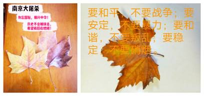 8C38F5BB69EFEB08576C83DC6E8CD373_副本.jpg