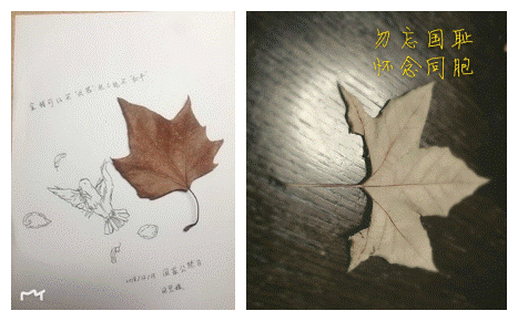 CB7C962106660F12CE4B1B0A99E8B4EA_副本.png