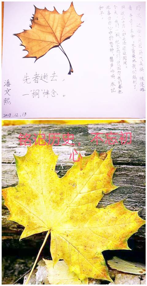 1C740E5A97405F3BA60B8D4571EA7D29_副本.jpg