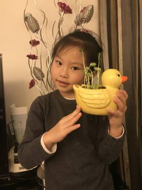 李木子2