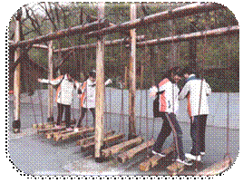 初三2 (2)_副本.jpg